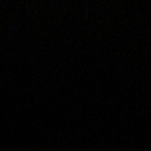 Meet your Posher, Dillon